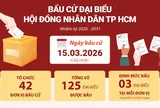 Infographic bầu cử đại biểu Hội đồng Nhân dân TP HCM