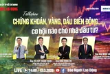 Chứng khoán, vàng, dầu biến động, cơ hội nào cho nhà đầu tư?