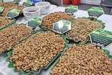 Giá cà phê hôm nay 26-3: Xuất hiện loại cà phê hơn 8 triệu đồng/kg