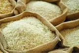 Giá gạo toàn cầu dự báo tăng mạnh