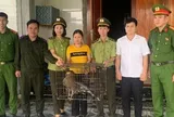 Hà Tĩnh: Người dân giao nộp hai cá thể động vật nguy cấp, quý hiếm