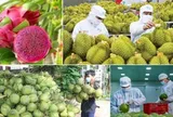 Ngành rau quả tự tin mục tiêu 10 tỷ USD xuất khẩu