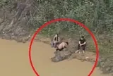 VIDEO: Hai nam sinh lao xuống sông cứu nữ sinh lớp 11 nhảy cầu