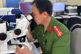 Cảnh báo mới liên quan đến giấy phép lái xe, biển số xe