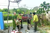 Kiểm lâm Ninh Bình xử lý 8 vụ khai thác, tàng trữ cây muội hồng, phạt 45 triệu đồng