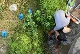 Nhảy cầu Sêrêpốk, người đàn ông khiến nhiều người thót tim