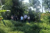 Chó nghi dại cắn liên tiếp 5 người, chính quyền vào cuộc xử lý