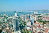 Vinhomes, Đất Xanh, Nam Long “sống khỏe” nhờ dòng tiền bàn giao, trong khi Novaland, API, NRC chật vật bài toán tái cấp vốn