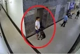 Bị nhắc đeo rọ mõm, chủ chó đánh gục thành viên ban quản trị chung cư