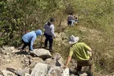 Bắt đầu khảo sát mở thông tuyến đường xuyên núi Lớn ở Vũng Tàu dài hơn 10 km