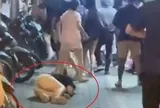Xôn xao vụ 2 nhóm thanh niên ẩu đả khiến cô gái gục trên vỉa hè phố Huế (Hà Nội): Công an vào cuộc