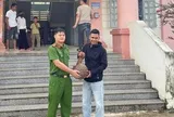 Người dân giao nộp chim diều hoa Miến Điện, tê tê Java quý hiếm