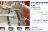 Đấu giá thành công 2 túi Hermès bạch tạng của Trương Mỹ Lan, thu hơn 14 tỷ đồng