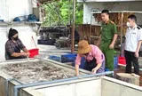Phát hiện hơn 3 tấn lòng lợn thối chuẩn bị tiêu thụ tại Bắc Ninh