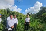 Vĩnh Long quyết bảo vệ vườn chim của lão nông 80 tuổi