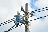 Giá điện giờ cao điểm là bao nhiêu?