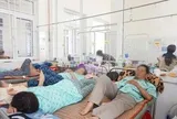 Phó Chủ tịch tỉnh Gia Lai yêu cầu làm rõ vụ nghi ngộ độc thực phẩm do ăn bánh mì