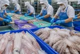 Việt Nam đón tin vui cùng lúc từ Hàn Quốc và Nhật Bản