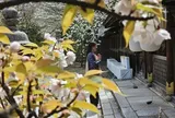 Giữa Kyoto, như nghe thời gian thở
