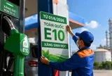 Xăng E10 được kiểm định thế nào trước khi ra thị trường?