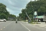 Cây xanh bật gốc kéo đổ 2 cột điện, dây điện chắn ngang đường ở TPHCM