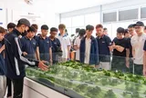 Sinh viên Đại học Xây dựng tìm hiểu mô hình đào tạo thực chiến tại Tập đoàn Đèo Cả
