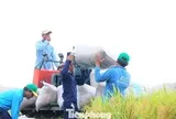 Vì sao vựa nông sản lớn nhất Việt Nam 'đứt gãy' chuỗi giá trị?