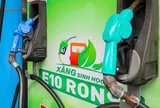 800 triệu lít xăng E10 được tiêu thụ sau 1 tháng mở bán toàn quốc