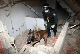 Đoàn Việt Nam đưa 30 nạn nhân ra khỏi đống đổ nát do  động đất ở Venezuela