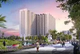 Entiz và hành trình nâng tầm chuẩn sống cho người dân xứ Nghệ