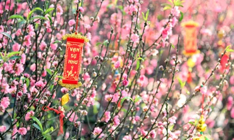 Bộ Tài chính đã cấp đủ kinh phí tặng quà Tết và chào mừng Đại hội Đảng XIV 0