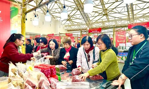 Bỏ túi hàng trăm triệu tại Hội chợ Mùa Xuân vì khách mê tỏi cô đơn Lý Sơn 0