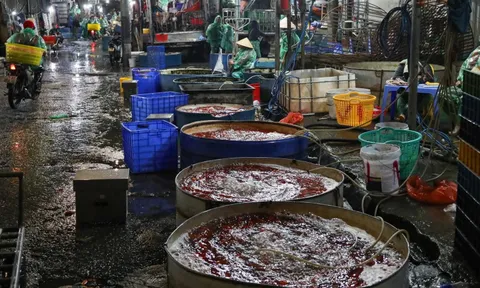 Giá cá chép tiễn ông Công ông Táo giảm, chợ lớn nhất Hà Nội vẫn vắng khách mua 0