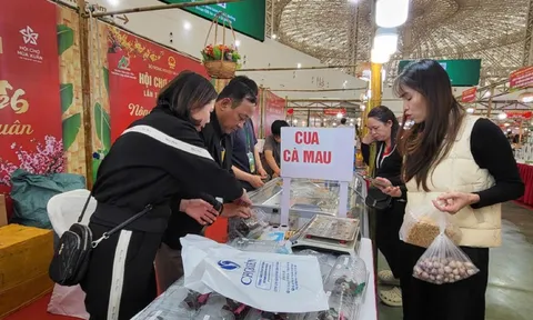 Thủy hải sản an toàn, tiện lợi - 'ngôi sao' nổi bật của hội chợ Mùa Xuân 2026 0