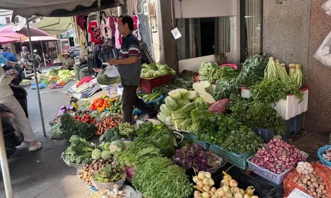 Rau củ quả dồi dào dịp Tết