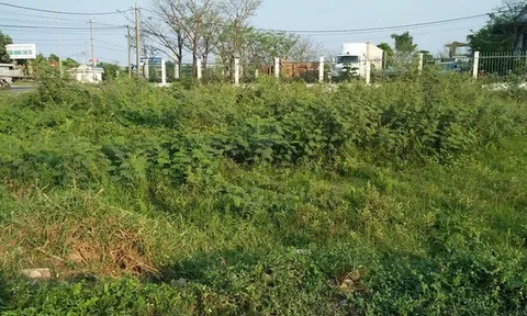 Người dân chuyển đất nông nghiệp sang đất ở trước năm 2026 sẽ được hoàn lại tiền