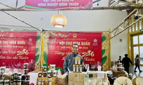 Hạt điều hữu cơ của đồng bào RagLay tìm thị trường tại Hội chợ Mùa Xuân 2026 0