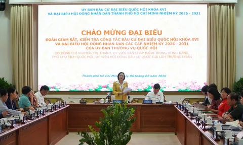 Xem danh sách 208 người ứng cử đại biểu HĐND TPHCM nhiệm kỳ 2026 - 2031