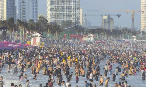 Vũng Tàu: Cứu thành công 17 trường hợp gặp sự cố khi tắm biển