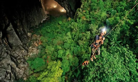 Gần 4.400 loài động, thực vật được ghi nhận ở Phong Nha - Kẻ Bàng