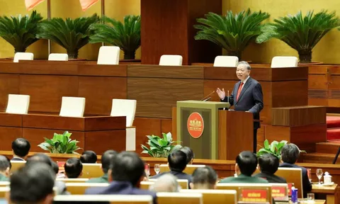 Chấn hưng văn hóa, xây điểm tựa quốc gia