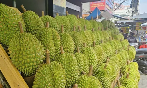 Nghịch lý giá sầu riêng, hàng cao cấp rẻ hơn loại phổ thông 0
