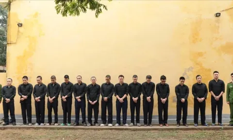 Vụ án 'Xôi Lạc TV': Khởi tố thêm 8 bị can, phong tỏa 58 tài khoản ngân hàng, thu giữ nhiều xe sang