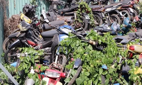 Tìm chủ 13 xe máy "bị bỏ rơi" ở TP HCM