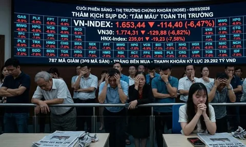 Sáng 9-3, hơn 300 cổ phiếu giảm sàn, nhà đầu tư làm gì để bảo vệ tài sản?