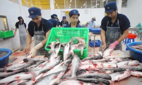 Giá cước tăng cao, lúa gạo, thủy sản, phân bón cùng gặp khó