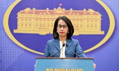 Bộ Ngoại giao "bác" thông tin Việt Nam viện trợ nhân đạo cho Iran