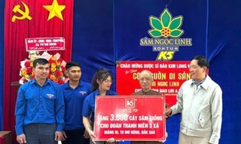 Lên thăm mô hình sâm Ngọc Linh, thanh niên được tặng cây giống để khởi nghiệp