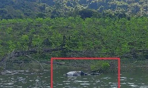 Gia Lai: Điều tra vụ người đàn ông chết chưa rõ nguyên nhân ở hồ Đá Trải