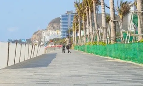 Công viên Bãi Sau Vũng Tàu "hồi sinh" sau những ngày cát phủ